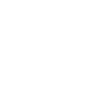 davideautino.org favicon